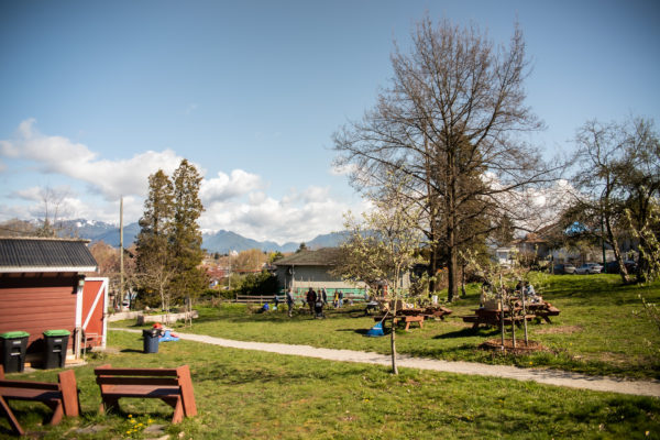 Copley Community Orchard